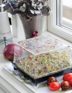 Sprossenbox | Sprossentürme Von Nelson Garden