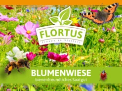 Blumenwiese (1/2 L Doypack) | Blumenwiese Von FLORTUS -Elho Compo Geschaft 551641 Blumenwiese 1 2 Liter Doypack 2000 0186 1