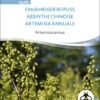 Einjähriger Beifuss | BIO Heilpflanzensamen Von Sativa Rheinau 2 Einjähriger Beifuss | BIO Heilpflanzensamen Von Sativa Rheinau -Elho Compo Geschaft 551680 BIO Einjaehriger Beifuss hp20 sr 0