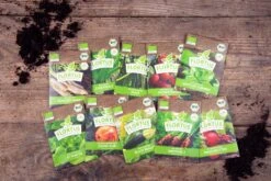 Gemüse Saatgut Archiv Holzbox (10 Tütchen + Register) | BIO Gemüsesamen-Sets Von FLORTUS -Elho Compo Geschaft 551883 BIO Saatgut Archiv Holzbox 10 Tuetchen Register 2000 0564 2