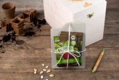 Gemüse Saatgut Archiv Holzbox (10 Tütchen + Register) | BIO Gemüsesamen-Sets Von FLORTUS -Elho Compo Geschaft 551883 BIO Saatgut Archiv Holzbox 10 Tuetchen Register 2000 0564 3