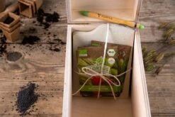 Gemüse Saatgut Archiv Holzbox (10 Tütchen + Register) | BIO Gemüsesamen-Sets Von FLORTUS -Elho Compo Geschaft 551883 BIO Saatgut Archiv Holzbox 10 Tuetchen Register 2000 0564 5