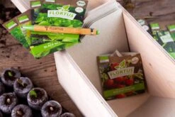 Gemüse Saatgut Archiv Holzbox (10 Tütchen + Register) | BIO Gemüsesamen-Sets Von FLORTUS -Elho Compo Geschaft 551883 BIO Saatgut Archiv Holzbox 10 Tuetchen Register 2000 0564 6