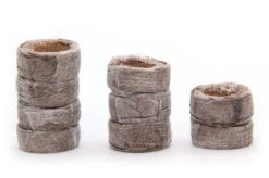 Kokos Quelltöpfe (1155 Stück) | BIO Kokos Quelltöpfe Von Jiffy 11 Kokos Quelltöpfe (1155 Stück) | BIO Kokos Quelltöpfe Von Jiffy -Elho Compo Geschaft 551968 BIO Kokos Quelltoepfe 1155 Stueck 63170030 jf 2