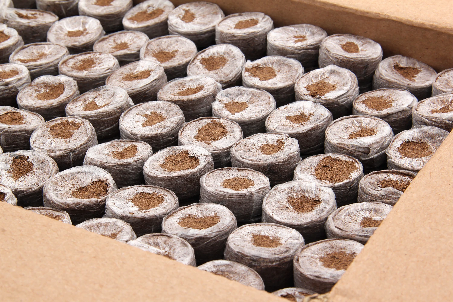 Kokos Quelltöpfe (1155 Stück) | BIO Kokos Quelltöpfe Von Jiffy 4 Kokos Quelltöpfe (1155 Stück) | BIO Kokos Quelltöpfe Von Jiffy – Bild 2