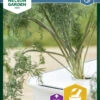 Dill Thalia | Dillsamen Von Nelson Garden -Elho Compo Geschaft 552129 Dill Thalia 90272 ng 0
