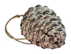 Kegel Mit Talg Und Samen | Vogelfutter Von Nelson Garden