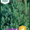 Thymian | Thymiansamen Von Nelson Garden -Elho Compo Geschaft 552220 Thymian 91521 ng 0