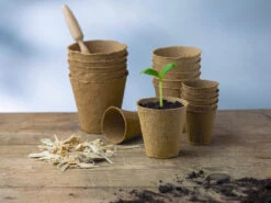 8 Cm Anzuchttopf Rund Auf Holzfaser Basis | Anzuchttöpfe Von FLORTUS -Elho Compo Geschaft 552303 8 cm Anzuchttopf rund auf Holzfaser Basis 30 Stueck 2000 0595 5