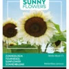 Sonnenblume White Moon F1 | Sonnenblumensamen Von Buzzy Seeds -Elho Compo Geschaft 552553 Sonnenblume White Moon F1 80827 by 0
