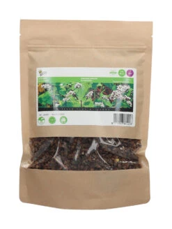 Buchweizen (250 G) | Gründünger Von Buzzy Seeds