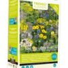 Friendly Flowers XL Tübinger Bienen Mischung (50 M²) | Bienenwiese Von Buzzy Seeds
