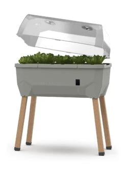 Sammy Salad Hochbeet Hellgrau | Balkonhochbeete Von Gusta Garden -Elho Compo Geschaft 553101 Sammy Salad Hochbeet Hellgrau 100A10 gg 0