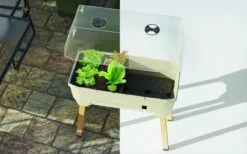 Sammy Salad Hochbeet Hellgrau | Balkonhochbeete Von Gusta Garden -Elho Compo Geschaft 553101 Sammy Salad Hochbeet Hellgrau 100A10 gg 2