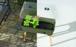 Sammy Salad Hochbeet Dunkelgrün | Balkonhochbeete Von Gusta Garden -Elho Compo Geschaft 553103 Sammy Salad Hochbeet Dunkelgruen 103A10 gg 2