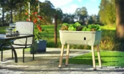 Sammy Salad Hochbeet Dunkelgrün | Balkonhochbeete Von Gusta Garden -Elho Compo Geschaft 553103 Sammy Salad Hochbeet Dunkelgruen 103A10 gg 9