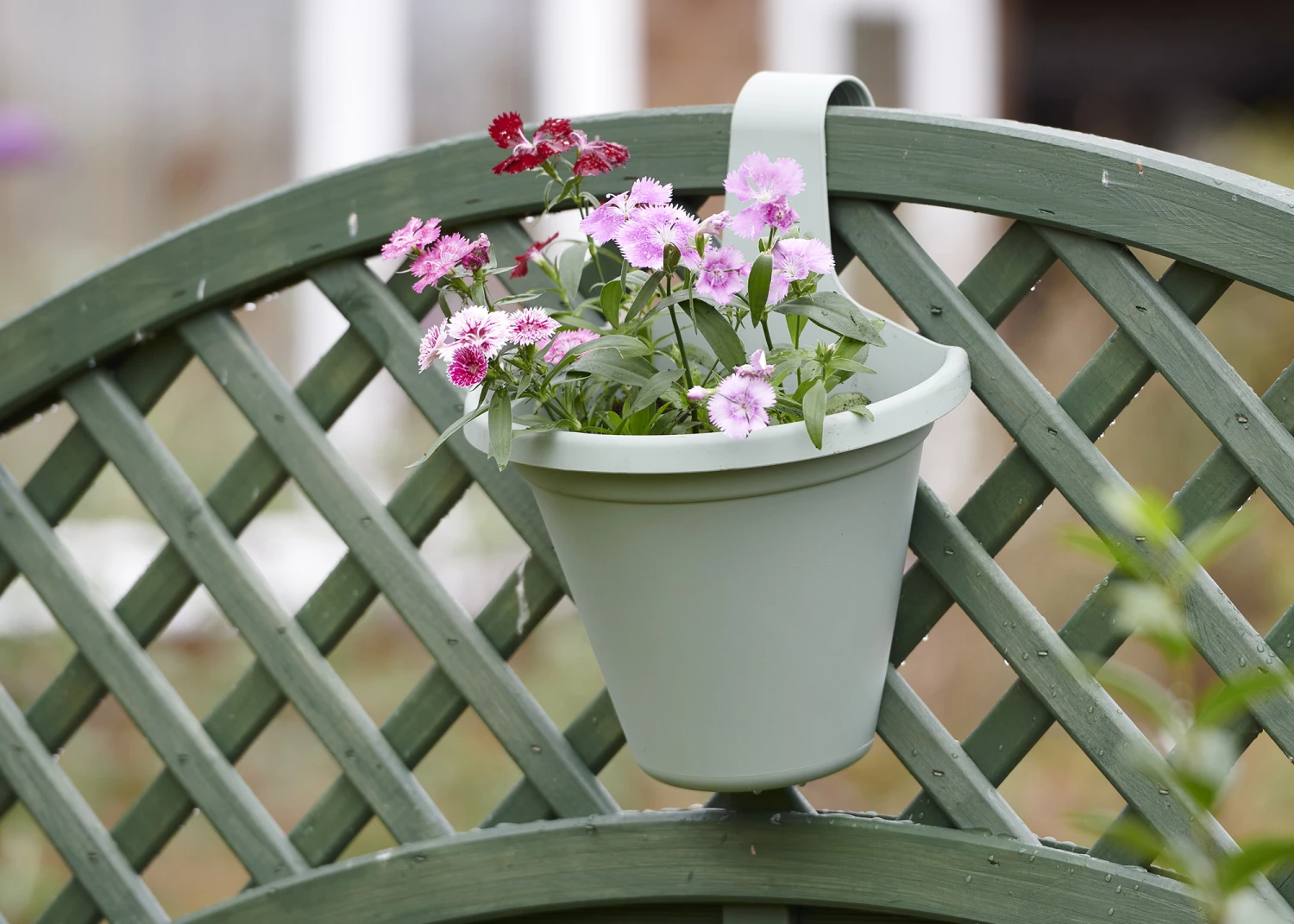 Hängeblumentopf Salbei | Blumentöpfe Von Clever Pots 8 Hängeblumentopf Salbei | Blumentöpfe Von Clever Pots – Bild 6