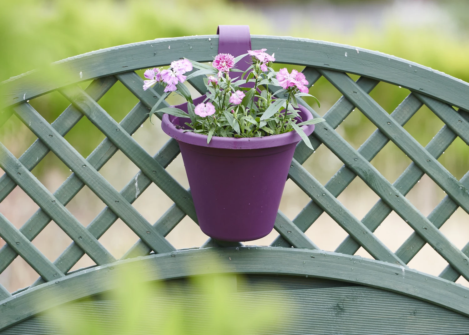 Hängeblumentopf Pink | Blumentöpfe Von Clever Pots 3 Hängeblumentopf Pink | Blumentöpfe Von Clever Pots