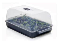 Anzucht-Gewächshaus Easy Water | Zimmergewächshaus Von Clever Pots -Elho Compo Geschaft 553911 Gewaechshaus Easy Water 050 0017 0