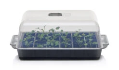 Anzucht-Gewächshaus Easy Water | Zimmergewächshaus Von Clever Pots -Elho Compo Geschaft 553911 Gewaechshaus Easy Water 050 0017 1