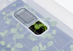 Anzucht-Gewächshaus Easy Water | Zimmergewächshaus Von Clever Pots -Elho Compo Geschaft 553911 Gewaechshaus Easy Water 050 0017 4