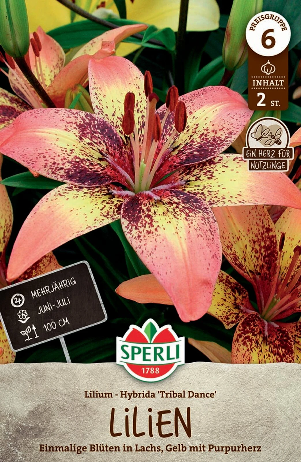 Lilie Tribal Dance (2 Stück) | Lilienzwiebeln Von Sperli 3 Lilie Tribal Dance (2 Stück) | Lilienzwiebeln Von Sperli
