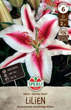 Elho Compo Geschaft -Elho Compo Geschaft 554102 Lilie Hachi 2 Stueck 467772 0