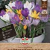 Gartenkrokus Mix (28 Stück) | Krokuszwiebeln Von Sperli 1 Gartenkrokus Mix (28 Stück) | Krokuszwiebeln Von Sperli -Elho Compo Geschaft 554104 Gartenkrokus Mix 28 Stueck 462609 0