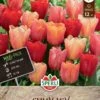Tulpe Jimmy Mix (12 Stück) | Triumph-Tulpen Von Sperli -Elho Compo Geschaft 554106 Tulpe Jimmy Mix 12 Stueck 462302 0
