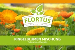 Ringelblumen Mischung | Blumenwiese Von FLORTUS -Elho Compo Geschaft 554533 Ringelblumen Mischung 1 kg 530747 Ringelblumen Mischung 1 kg 2000 0209 2