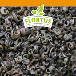 Ringelblumen Mischung | Blumenwiese Von FLORTUS -Elho Compo Geschaft 554533 Ringelblumen Mischung 1 kg 530747 Ringelblumen Mischung 1 kg 2000 0209 6