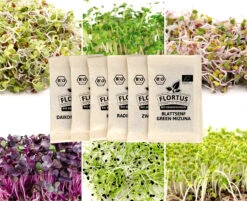 Keimsprossen Set Scharf (6 Sorten) | BIO Keimsprossen Sets Von FLORTUS -Elho Compo Geschaft 554613 BIO Keimsprossen Set Scharf 6 Sorten 2000 0737 5