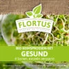 Keimsprossen Set Gesund (4 Sorten) | BIO Keimsprossen Sets Von FLORTUS 2 Keimsprossen Set Gesund (4 Sorten) | BIO Keimsprossen Sets Von FLORTUS -Elho Compo Geschaft 554614 BIO Keimsprossen Set Gesund 4 Sorten 2000 0736 1
