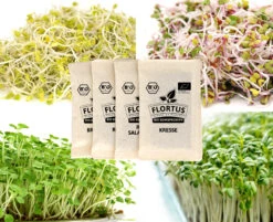Keimsprossen Set Gesund (4 Sorten) | BIO Keimsprossen Sets Von FLORTUS 11 Keimsprossen Set Gesund (4 Sorten) | BIO Keimsprossen Sets Von FLORTUS -Elho Compo Geschaft 554614 BIO Keimsprossen Set Gesund 4 Sorten 2000 0736 5