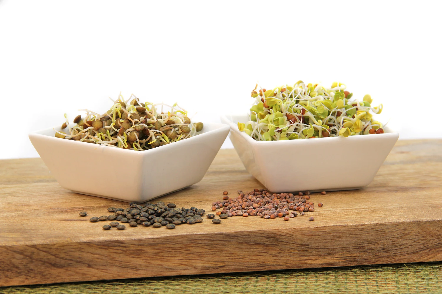 Keimsprossen Set Asiatisch (6 Sorten) | BIO Keimsprossen Sets Von FLORTUS 6 Keimsprossen Set Asiatisch (6 Sorten) | BIO Keimsprossen Sets Von FLORTUS – Bild 4