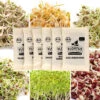 Keimsprossen Set Asiatisch (6 Sorten) | BIO Keimsprossen Sets Von FLORTUS 1 Keimsprossen Set Asiatisch (6 Sorten) | BIO Keimsprossen Sets Von FLORTUS -Elho Compo Geschaft 554615 BIO Keimsprossen Set Asiatisch 6 Sorten 2000 0735 5