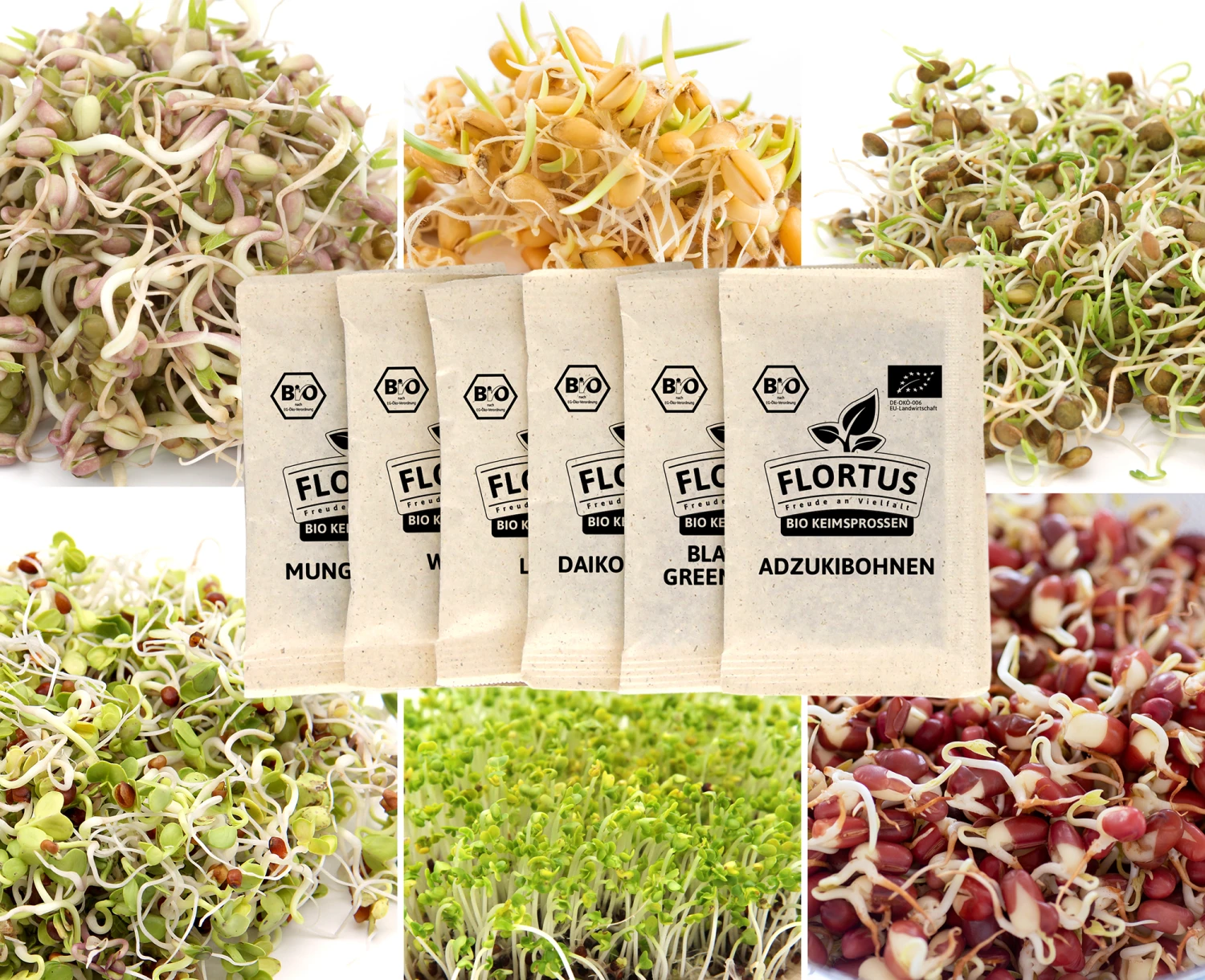 Keimsprossen Set Asiatisch (6 Sorten) | BIO Keimsprossen Sets Von FLORTUS 3 Keimsprossen Set Asiatisch (6 Sorten) | BIO Keimsprossen Sets Von FLORTUS