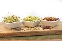 Keimsprossen Set Hülsenfrüchte (6 Sorten) | BIO Keimsprossen Sets Von FLORTUS -Elho Compo Geschaft 554618 BIO Keimsprossen Set Huelsenfruechte 6 Sorten 2000 0732 4