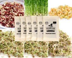 Keimsprossen Set Hülsenfrüchte (6 Sorten) | BIO Keimsprossen Sets Von FLORTUS -Elho Compo Geschaft 554618 BIO Keimsprossen Set Huelsenfruechte 6 Sorten 2000 0732 5