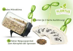 Keimsprossen Anzuchtset - Sprossen Mischungen (6 Sorten) | BIO Keimsprossen Sets Von FLORTUS -Elho Compo Geschaft 554739 BIO Keimsprossen Anzuchtset Sprossen Mischungen 2000 0747 2