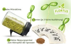 Keimsprossen Anzuchtset - Salat Grundlage (6 Sorten) | BIO Keimsprossen Sets Von FLORTUS -Elho Compo Geschaft 554741 BIO Keimsprossen Anzuchtset Salat Grundlage 2000 0749 2