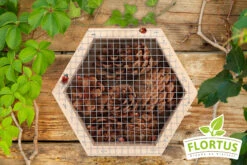 Insektenhäuschen Marienkäfer | Insektenhotels Von FLORTUS