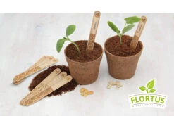 Holzstecketiketten Mit Lasergravur (10 Stück) | Pflanzenetiketten Von FLORTUS 13 Holzstecketiketten Mit Lasergravur (10 Stück) | Pflanzenetiketten Von FLORTUS -Elho Compo Geschaft 554995 Holzstecketiketten mit Lasergravur 10 Stueck 2000 0780 5