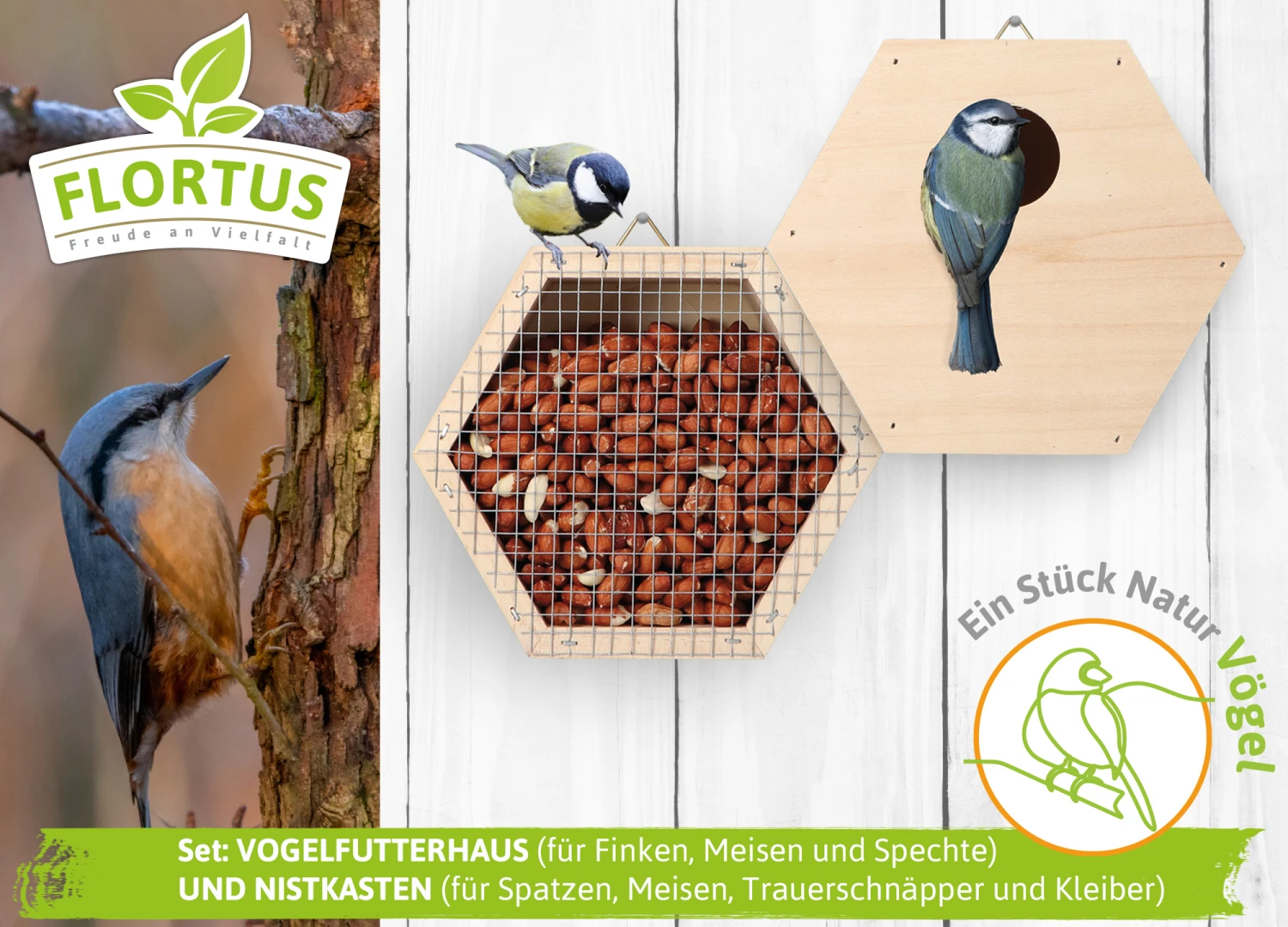 Vogelfutterhaus Und Nistkasten Set | Vogelzubehör & Vogelbedarf Von FLORTUS 8 Vogelfutterhaus Und Nistkasten Set | Vogelzubehör & Vogelbedarf Von FLORTUS – Bild 6