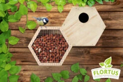Vogelfutterhaus Und Nistkasten Set | Vogelzubehör & Vogelbedarf Von FLORTUS 12 Vogelfutterhaus Und Nistkasten Set | Vogelzubehör & Vogelbedarf Von FLORTUS -Elho Compo Geschaft 555061 Vogelfutterhaus und Nistkasten Set 2000 0789 BUNDLE 5