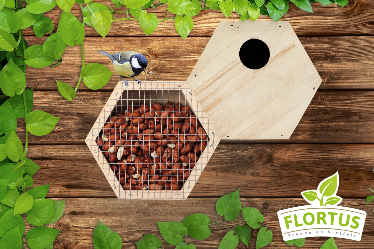 Vogelfutterhaus Und Nistkasten Set | Vogelzubehör & Vogelbedarf Von FLORTUS 7 Vogelfutterhaus Und Nistkasten Set | Vogelzubehör & Vogelbedarf Von FLORTUS – Bild 5