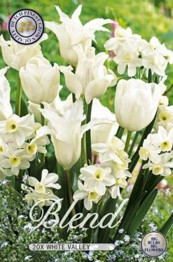 Tulpe/Narzisse White Valley (20 Stück) | Blumenzwiebelmischungen Von Sam Van Schooten