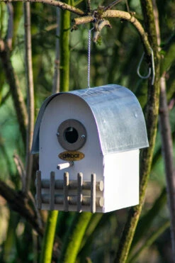 Nistkasten Rundhaus Elfenbein | Vogelhäuser Von Dobar -Elho Compo Geschaft 555829 Nistkasten Rundhaus Elfenbein 22313FSCe dr 3