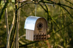 Nistkasten Rundhaus Bernstein | Vogelhäuser Von Dobar