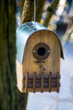 Nistkasten Rundhaus Bernstein | Vogelhäuser Von Dobar -Elho Compo Geschaft 555831 Nistkasten Rundhaus Bernstein 22513FSCe dr 5